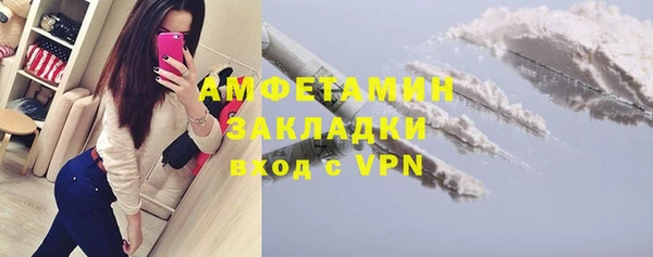 индика Верея