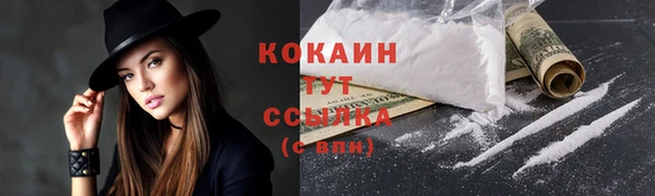 индика Верея