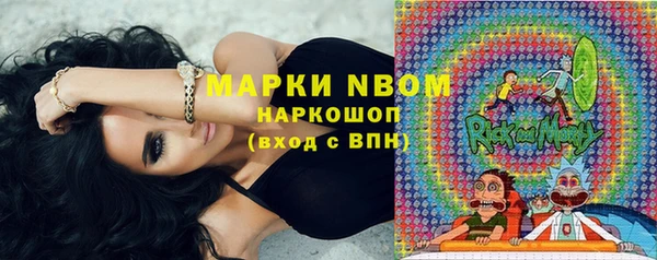 индика Верея