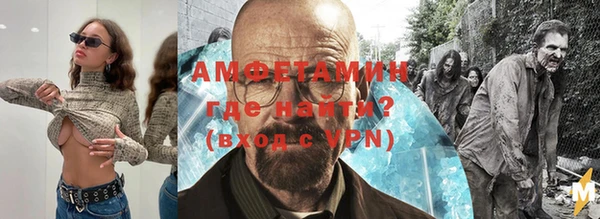 индика Верея