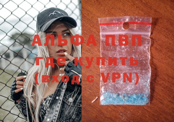 индика Верея